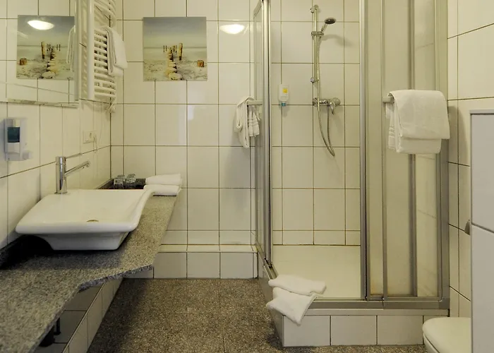 贝尔维尤酒店 杜塞尔多夫